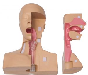 Simulador de Manejo de Traqueostomía