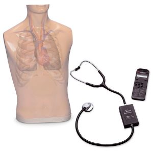 Auscultación Cardíaca y Pulmonar - Examinación Clínica