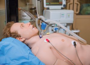 Maniquí de Entrenamiento "Leonardo"