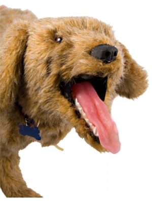 Simulador de Perro para RCP "Jerry K-9"