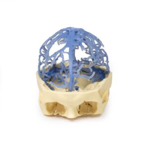 Modelo de Anatomía Impresa en 3D - Circulación Venosa