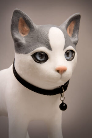 Maniquí de Cachorro para Prática de Inyección - Gato