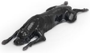 Simulador de Perro para Rayos X- Tomografía Computarizada