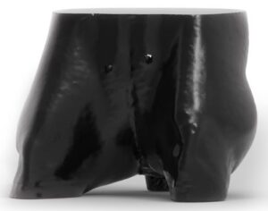 Simulador de Pelvis de Perro para Rayos X - Tomografía Computarizada