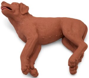 Simulador de Perro para RCP "CasPeR"