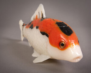Modelo de Pez Disecado