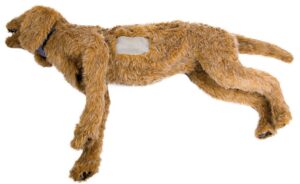 Simulador de Perro para Toracentesis "K-9"