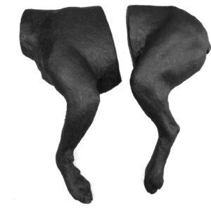 Simulador Canino para Vendaje de Extremidades