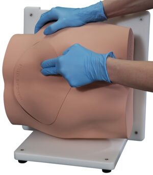 Entrenador de Habilidades de Biopsia de Médula Ósea "Bonnie"