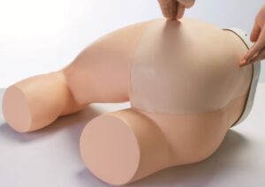 Modelo de Acupuntura del Nervio Ciático - Sin Transparencia