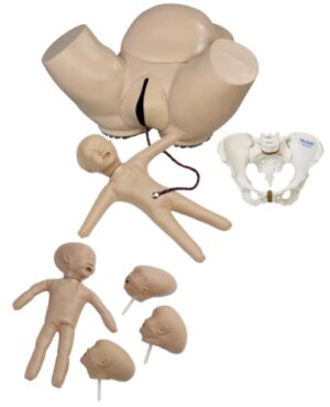 Conjunto de Simulación Obstétrico