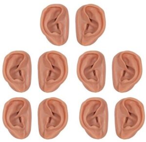 Juego de 10 Modelos de Oreja para Acupuntura