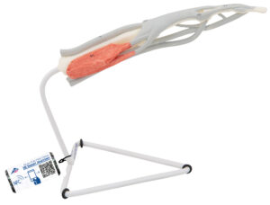 Modelo de Estructura de un Dedo