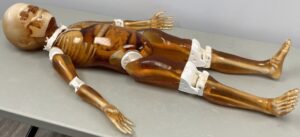 Simulador de Cuerpo Completo Pediátrico para Radiografía - Tomografía Computarizada - Resonancia Magnética