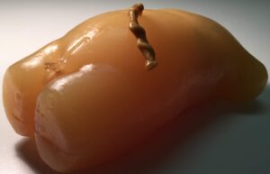 Torso de Recién Nacido para Radiografía - Tomografía Computarizada - Ultrasonido